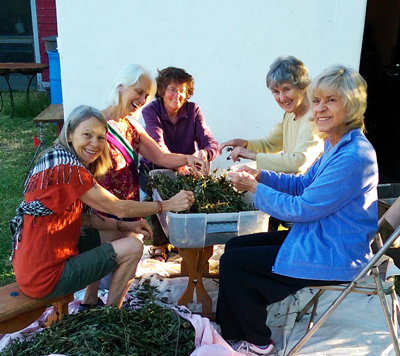 Preparing herbal teas with friends.