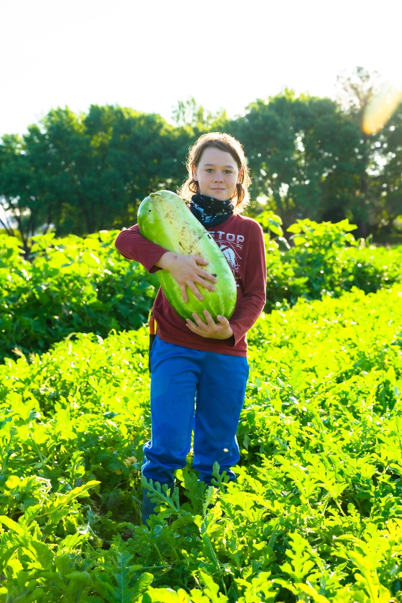 Boy gardening for watermelon GSSU
